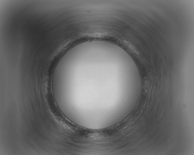 X0000082140544200702162145