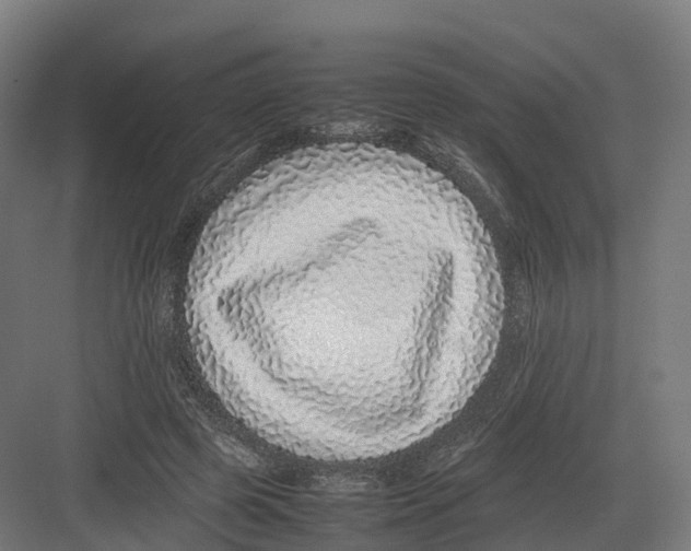 X0000082140545200702162145