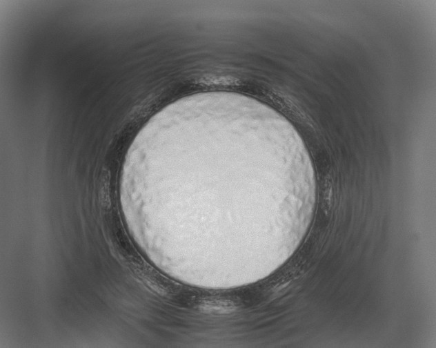 X0000082140547200702162145