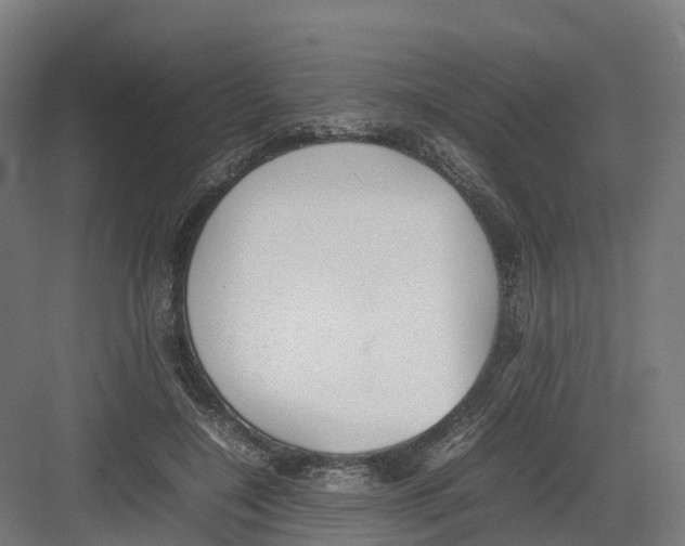 X0000082140548200702162145