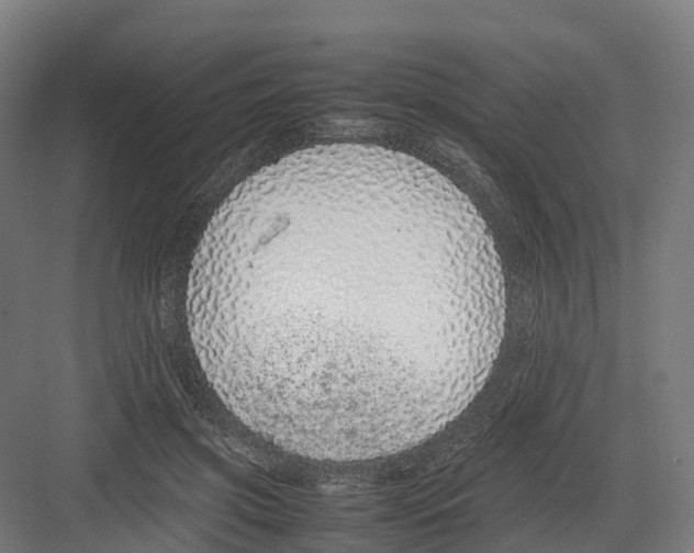 X0000082140549200702162145