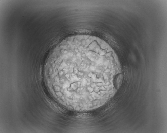 X0000082140550200702162145