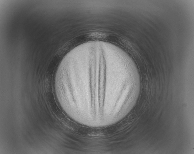 X0000082140551200702162145