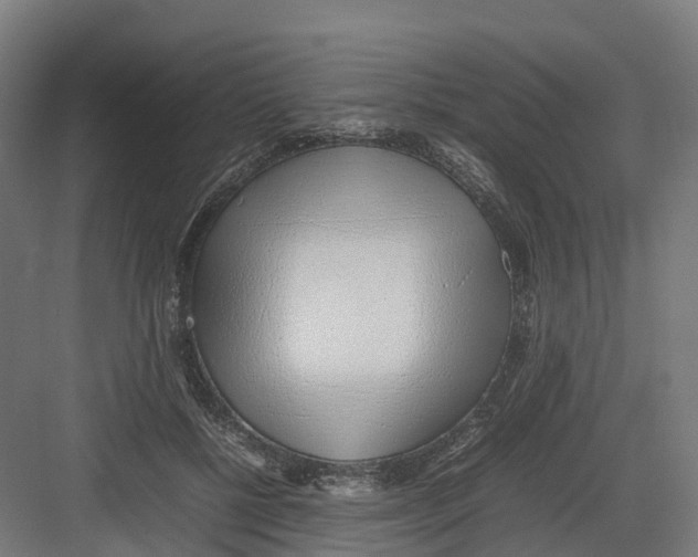 X0000082140552200702162145