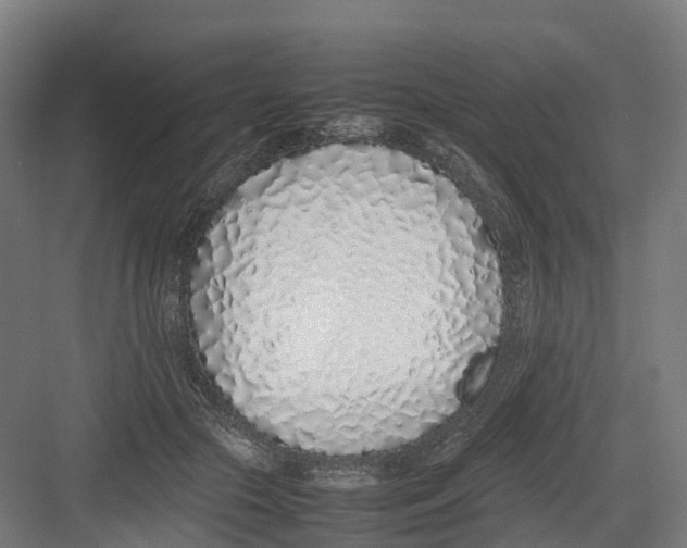 X0000082140553200702162145