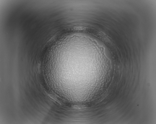 X0000082140556200702162145