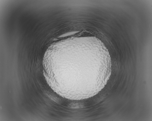 X0000082140557200702162145