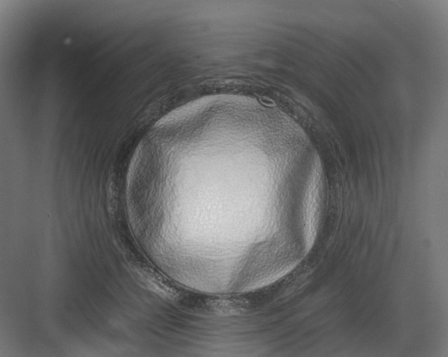 X0000082140558200702162145