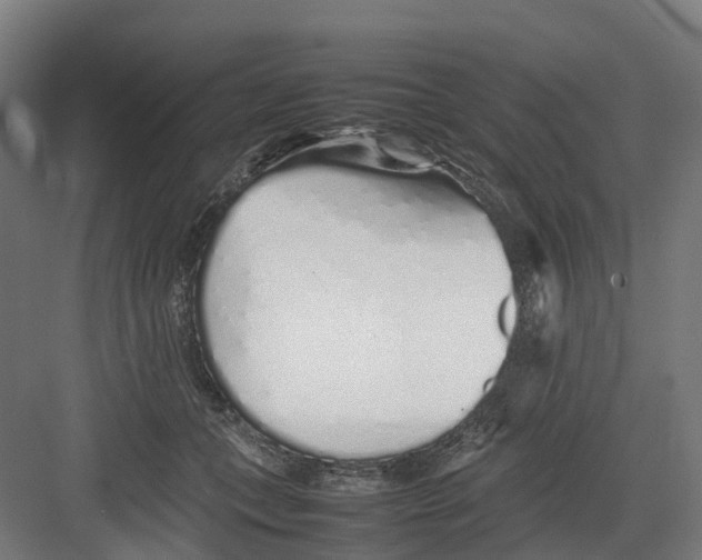 X0000082140559200702162145