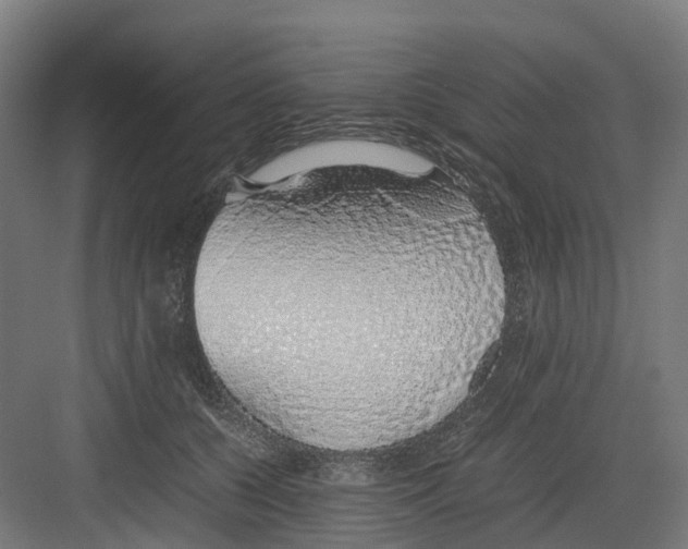 X0000082140560200702162145