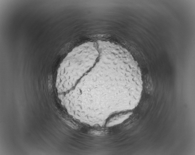 X0000082140563200702162145