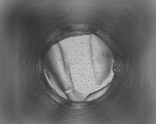 X0000082140564200702162145