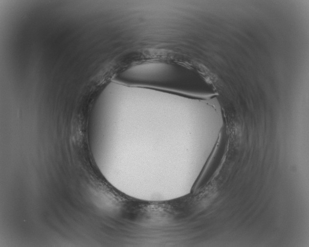 X0000082140566200702162146