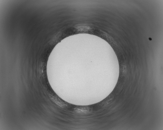 X0000082140567200702162146