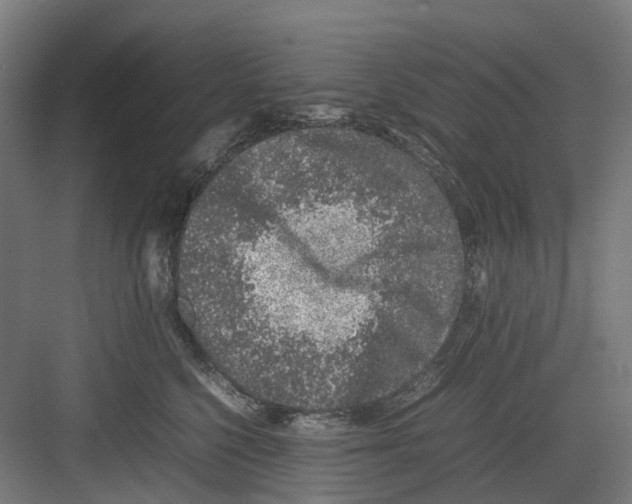 X0000082140568200702162146