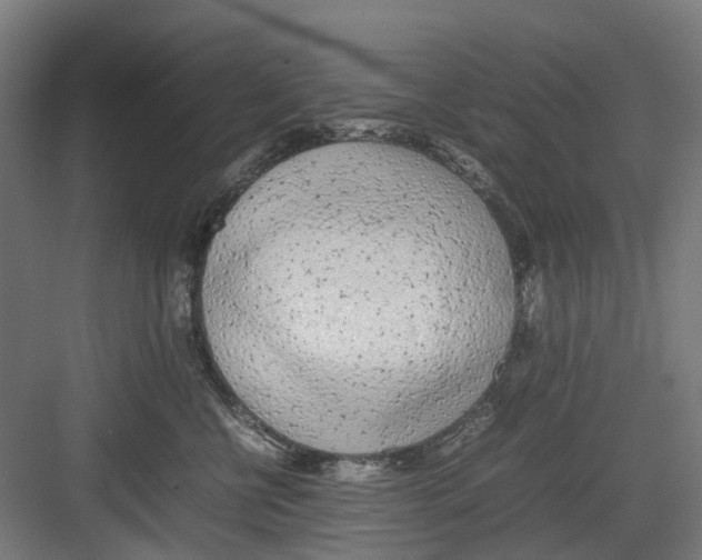 X0000082140570200702162146