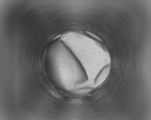 X0000082140572200702162146