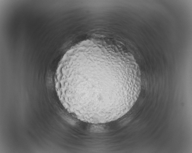 X0000082140573200702162146