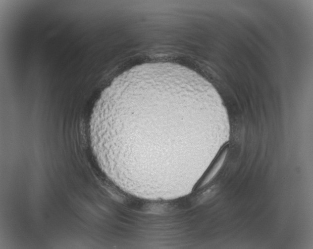 X0000082140575200702162146