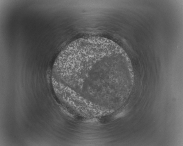 X0000082140576200702162146