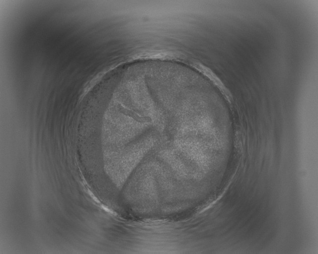 X0000082140577200702162145