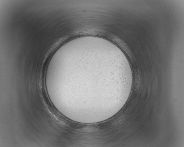 X0000082140578200702162145