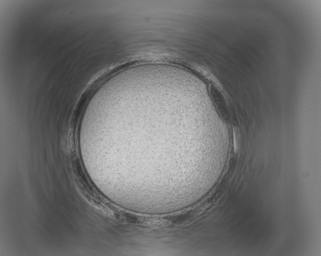 X0000082140579200702162145