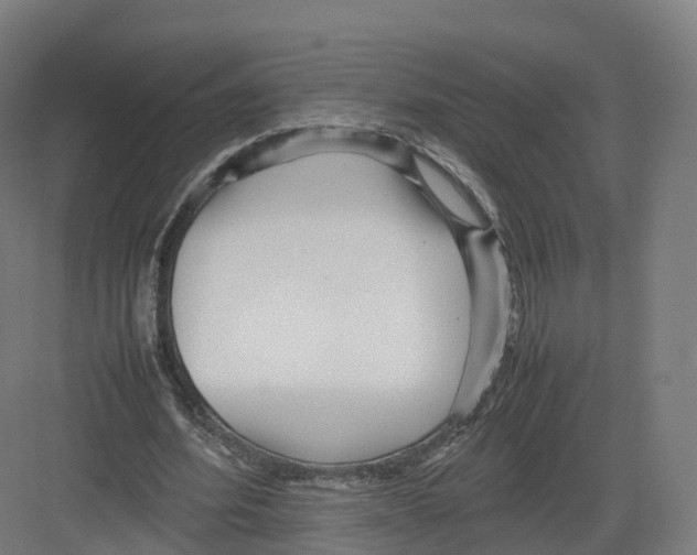 X0000082140580200702162145