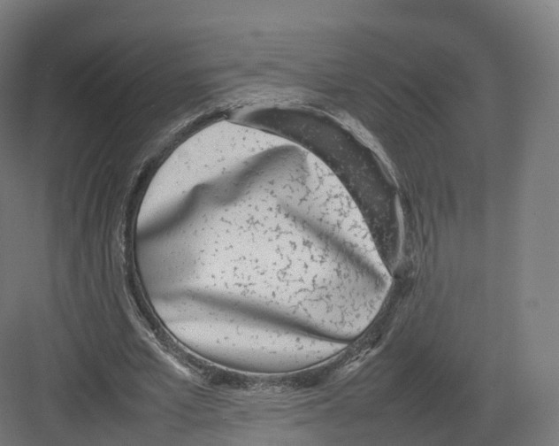 X0000082140581200702162145