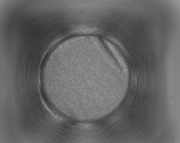 X0000082140582200702162145