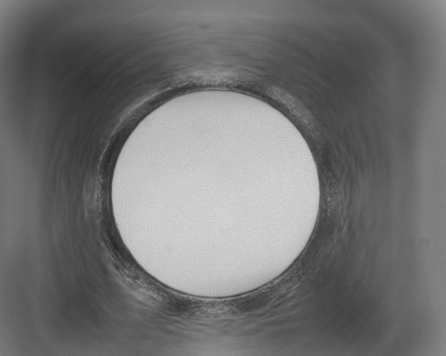 X0000082140583200702162145