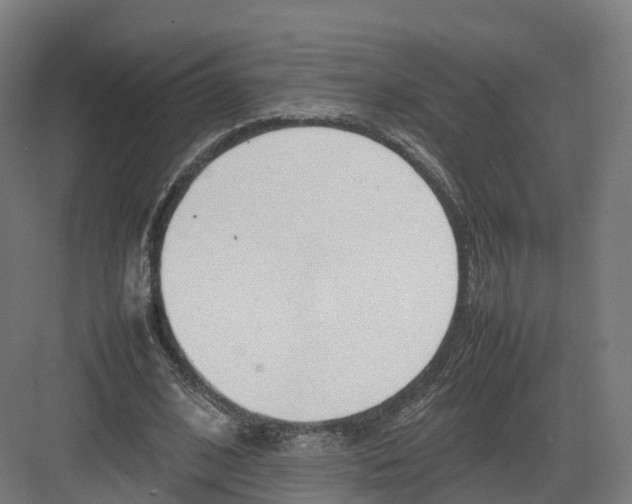 X0000082140584200702162145