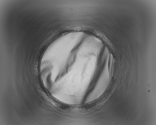 X0000082140585200702162145