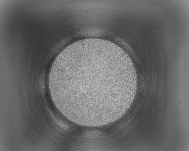 X0000082140586200702162145