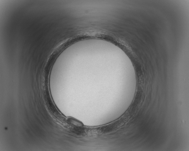 X0000082140587200702162145