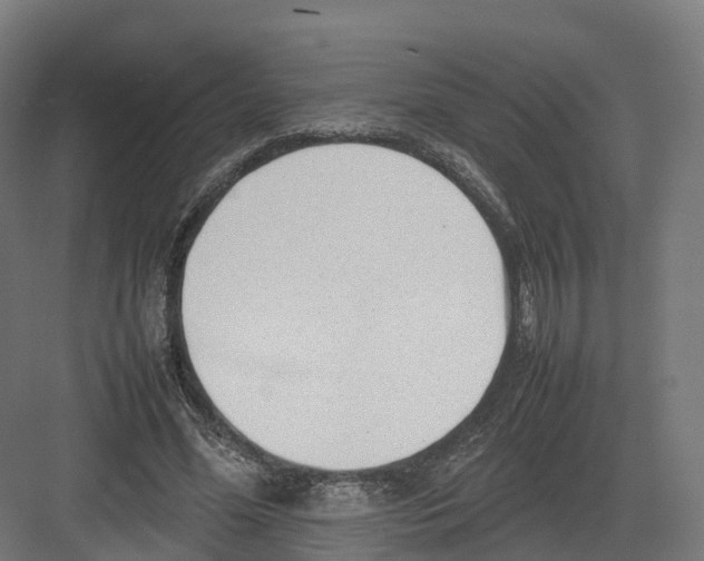 X0000082140588200702162145