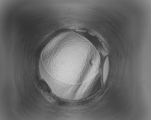 X0000082140589200702162145