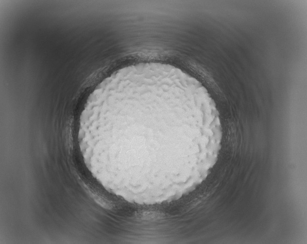 X0000082140590200702162145