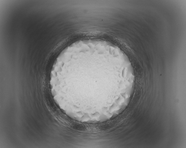 X0000082140591200702162145