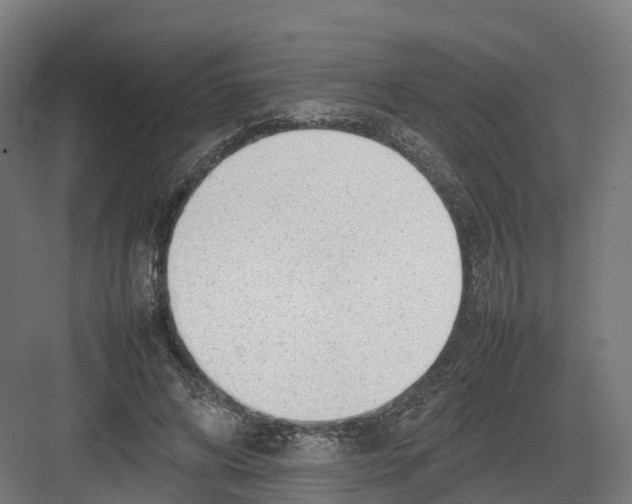 X0000082140592200702162145