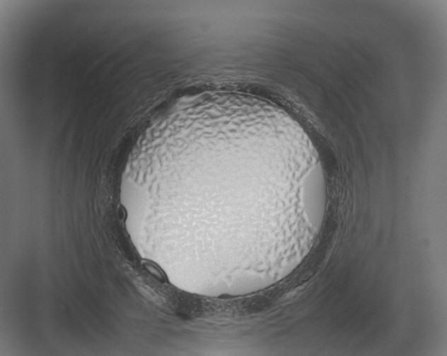 X0000082140593200702162145