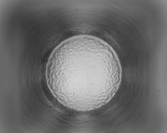 X0000082140594200702162145