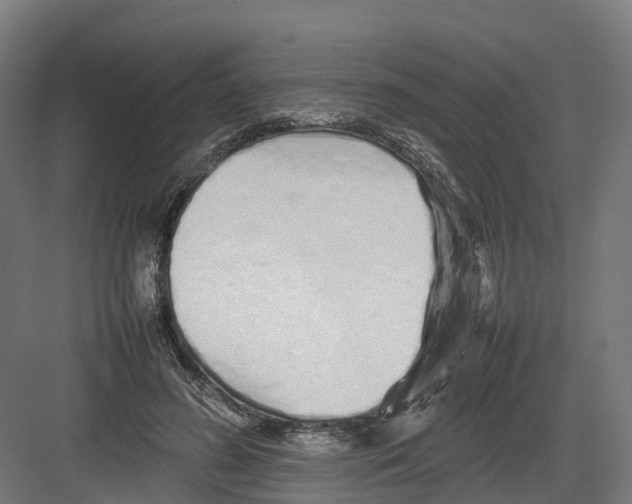 X0000082140596200702162145