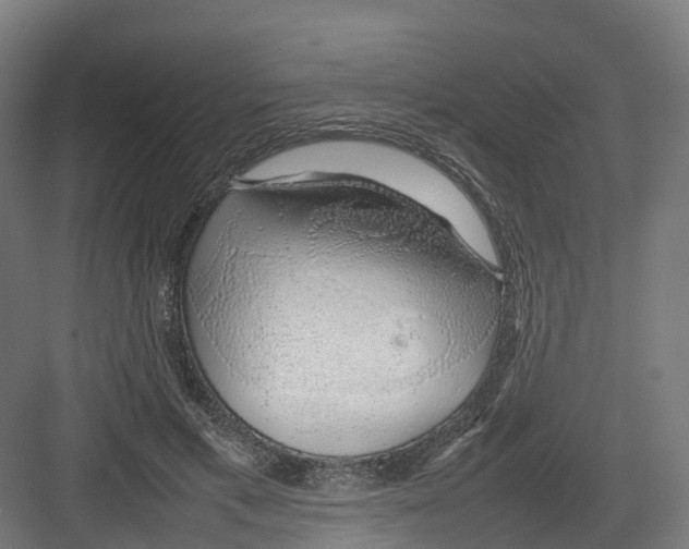 X0000082140597200702162145