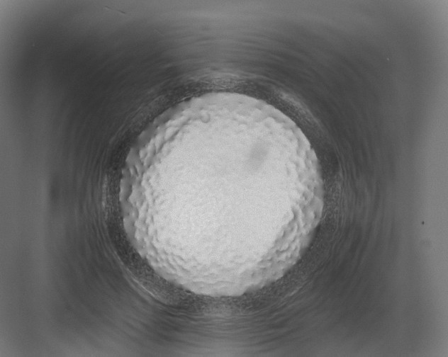 X0000082140598200702162145