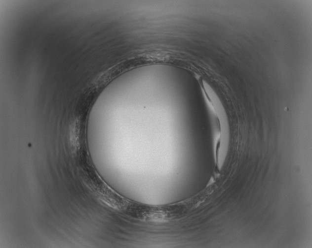 X0000082140600200702162144