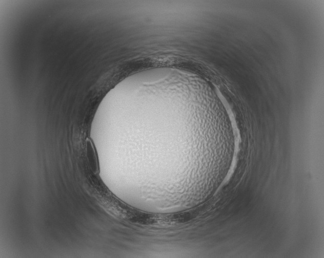 X0000082140601200702162144