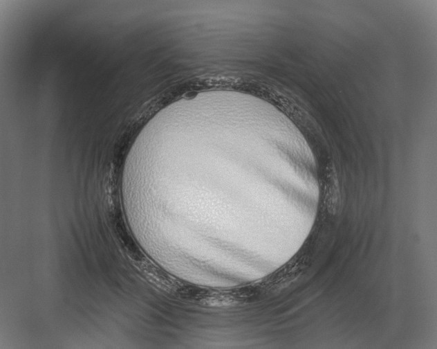 X0000082140604200702162144