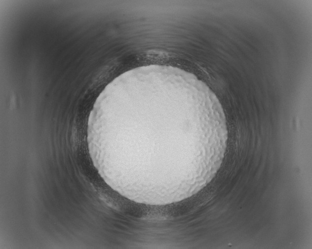 X0000082140606200702162144