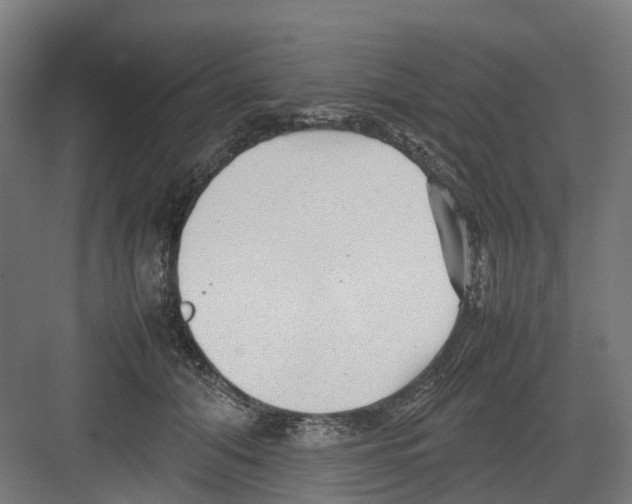 X0000082140608200702162144